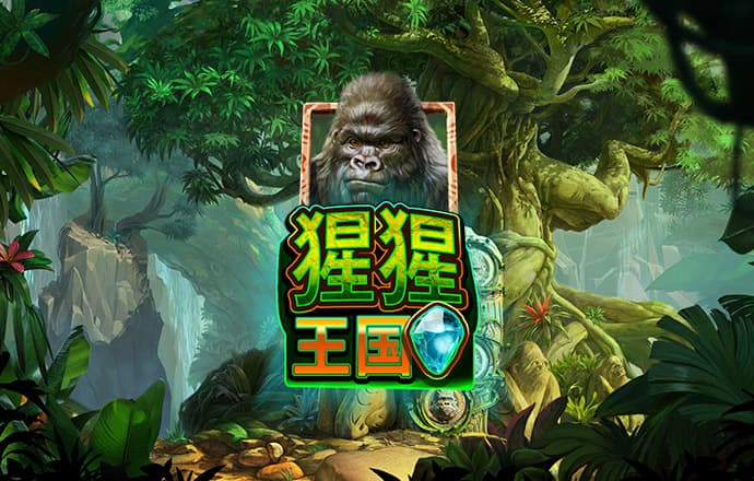 bobty体育入口首页